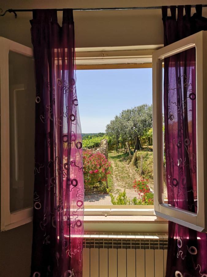 B&B Stella Dell'Adriatico Ортона Экстерьер фото