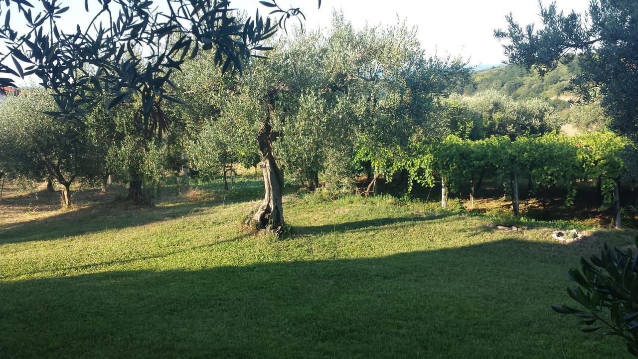 B&B Stella Dell'Adriatico Ортона Экстерьер фото