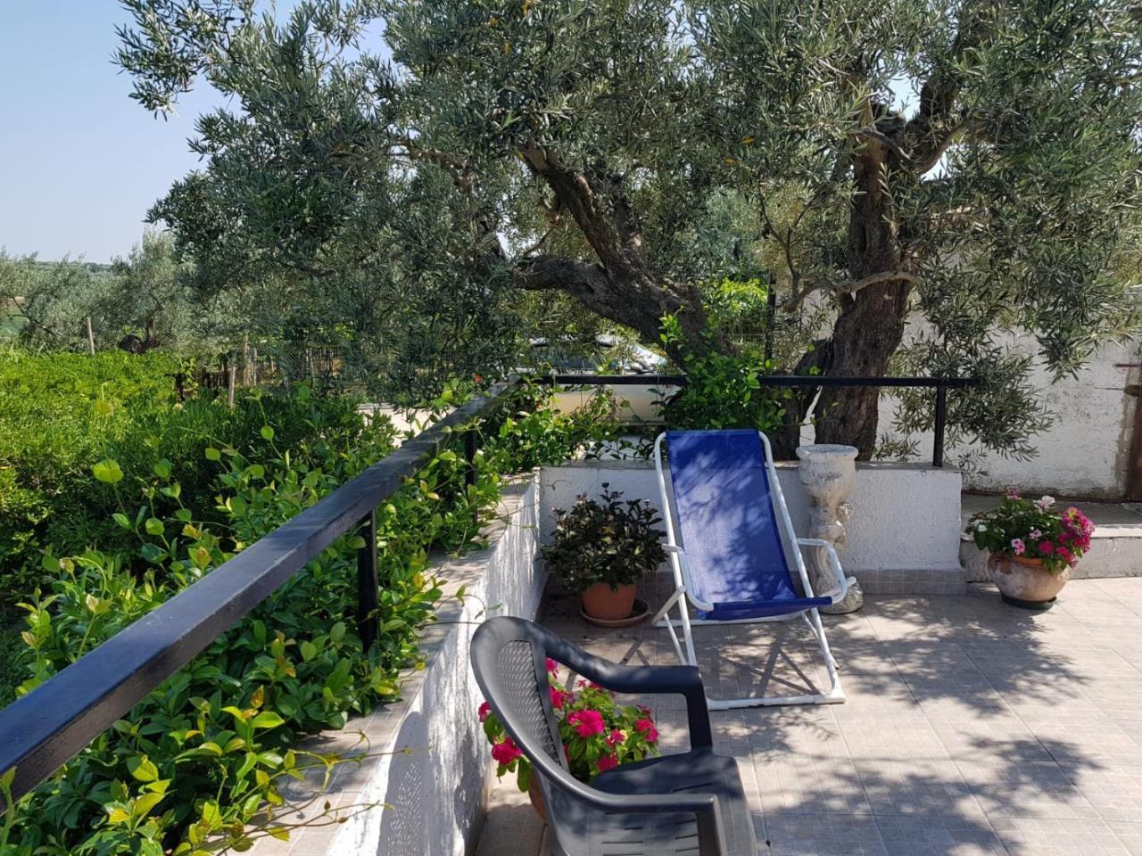 B&B Stella Dell'Adriatico Ортона Экстерьер фото